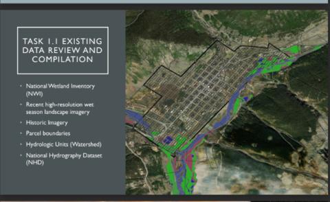 Wetland Delineation