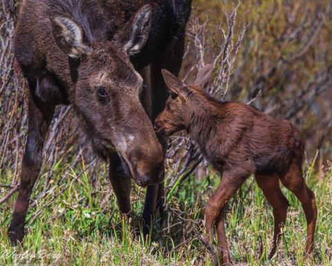 Dora and her mother Photo Credit - Wesley Berg