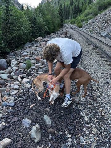 The moment Libby was recovered by Oliver Clark and her doggy brother Maverick about 1 1/2 miles down the tracks. Photo credit Taylor Clark