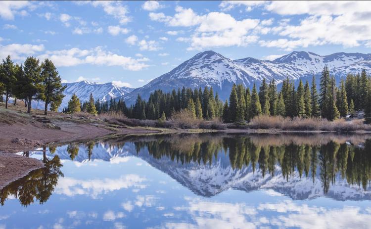 REFLECTIONS
