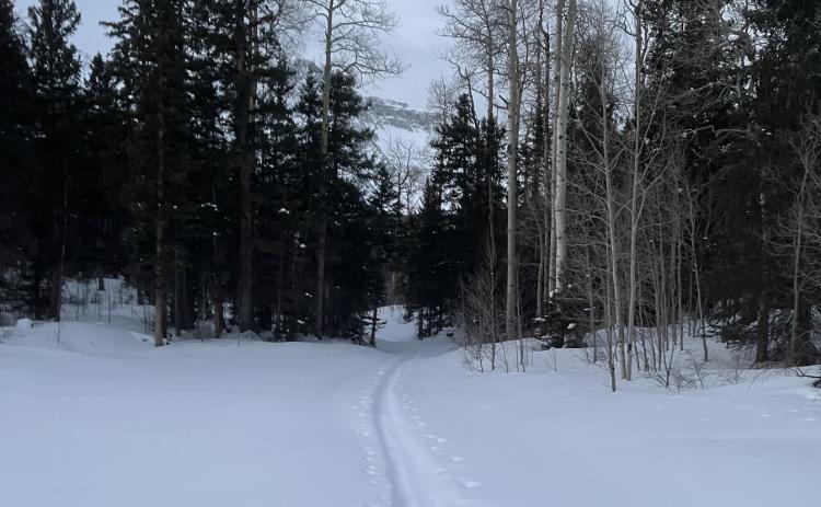 Photo credit Jordan McChesney A path through the snow.