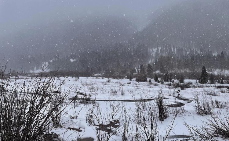 Snowy wetlands surrounding Silverton. Photo credit Janice Sanders