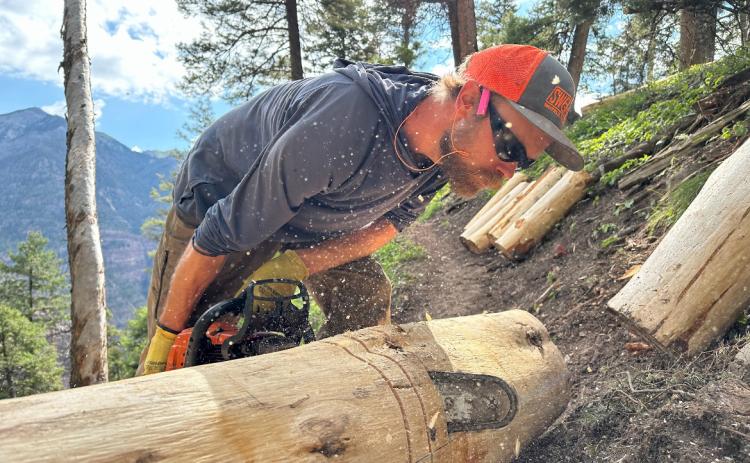 Michael Crockett proprietor of Anthrocene Contracting is removing timber and creating trail stairs out of it. Photo credit Anthrocene Contracting
