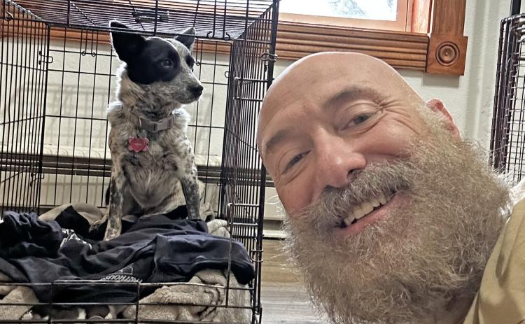 Jimmy Keene traps Luna, the mini heeler that had been missing for 14 days. Photo credit Jimmy Keene