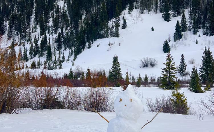 Photo credit DeAnne Gallegos We got enough snow during this last storm to make a snowman off the groomed trail.