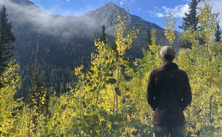 The trees they are a changin’. Photo credit Katey Fetch