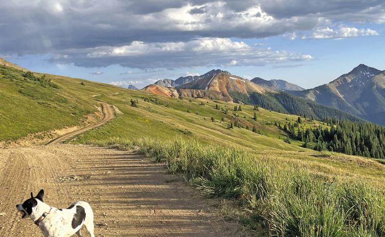Finding a moment of peace and stillness in the San Juans. Photo credit Scott Fetchenhier