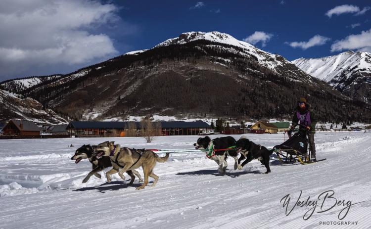 Dogs and mushers having fun at The Flying Dog Sled Races. Photo credit Wesley Berg