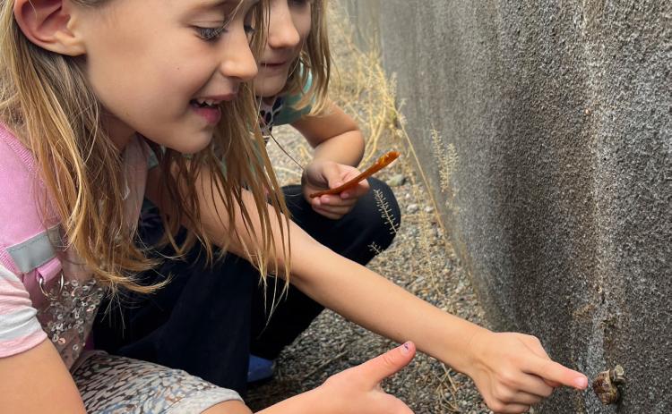 Slow down and explore Photo by Thomas Fritz