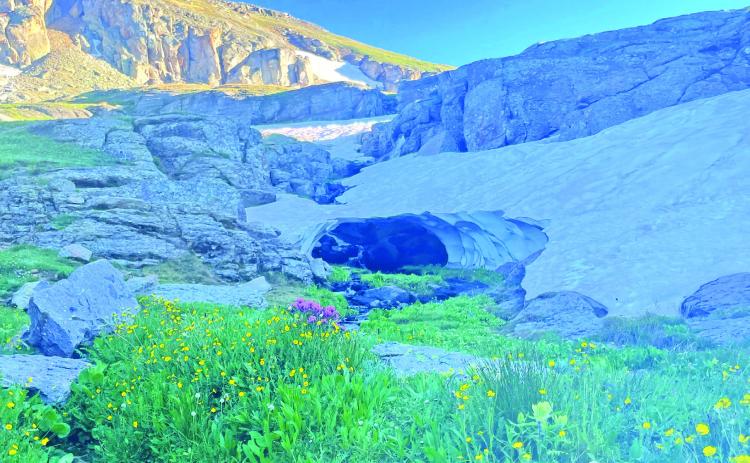 The snow is still here, a cave of snow and mountain wildflowers