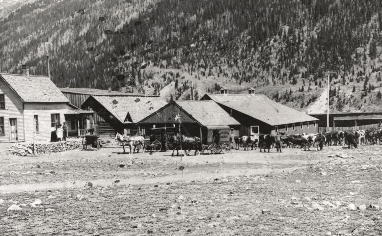 Silverton Dairy