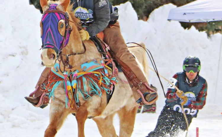 Carissa Dahl and Rage pull skier Rob Conaty through Silverton’s course. Photo Credit Jeff Dahl