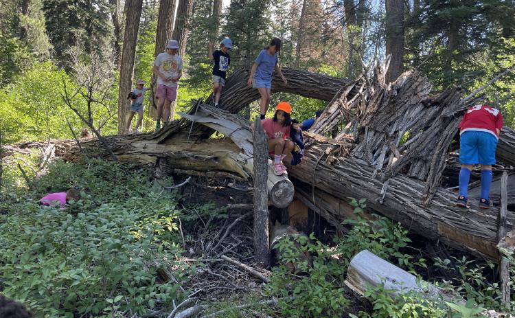 Kids tapping into their curiosity photo by SJMA