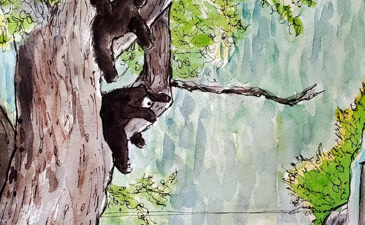 Next time, sleep it off. Rest in Peace, Mama Bear. Illustration by Jerome Stueart