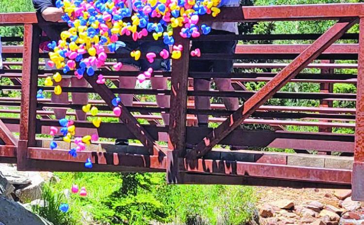 This year boasted the most sold Ducky Derby Ducks EVER! Photo credit Patty Zink