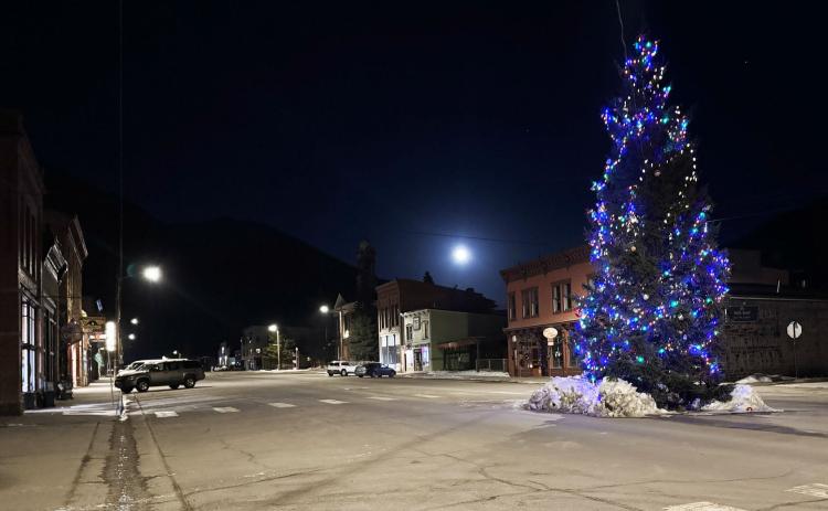 Photo credit Katey Fetch The town Christmas tree under the full moon.