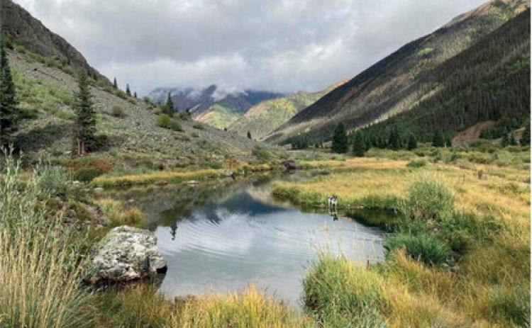An example of a wetland environment (photo not within the town of Silverton) Photo credit Cameron Crowell