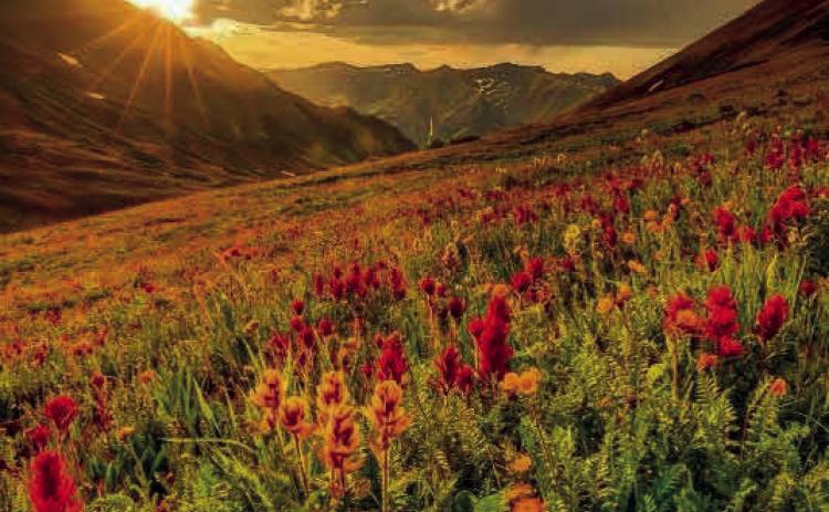The wonder of summer Photo by Jimmy S. Keene