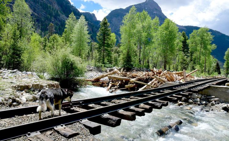 Durango & Silverton Narrow Gauge Railroad tracks near the Elk Creek headwaters. The train is not expected to Silverton for eight to i6 weeks, railroad officials now say. Criss Furman/Silverton Standard
