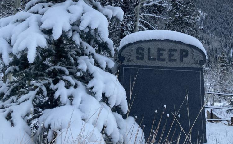 Photo by Hillary Cable Fresh November snow and short days make the Silverton Hillside Cemetery a perfect afternoon walk
