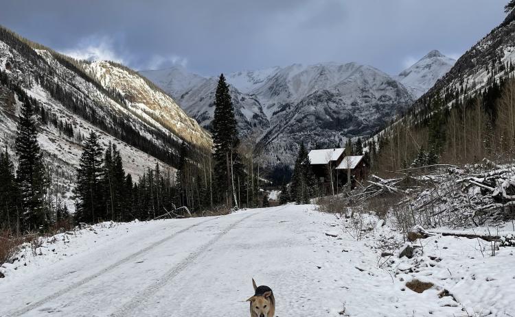 Photo credit Janice Sanders Snow dusting the county roads and dog walks.