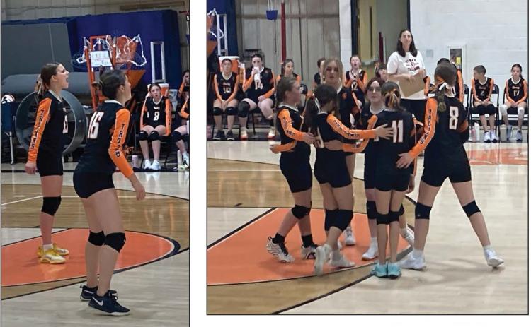 Volleyball game