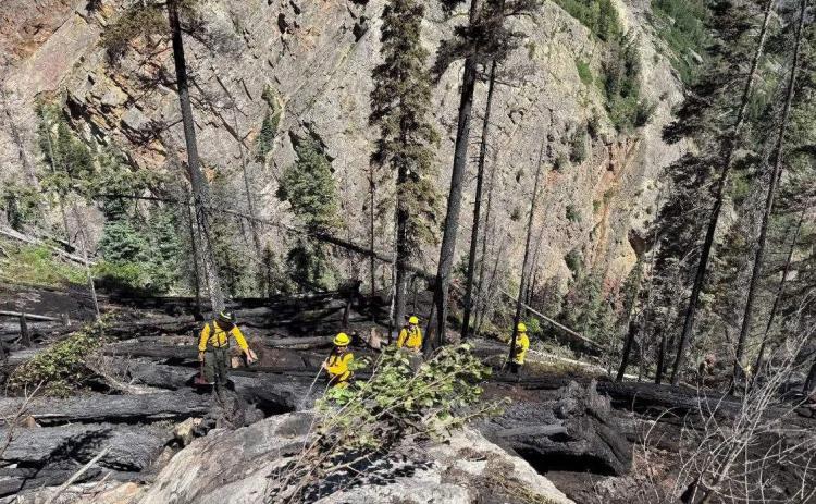 Snow Shed Fore burned out area above Highway 550 between mile marker 87-88. Photo credit Ridgeway Fire Department