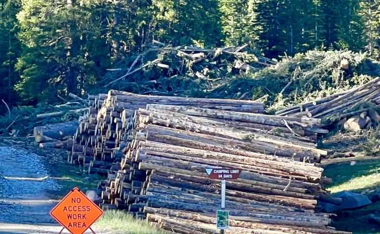 Logs from the US Forest Service land within the vegetation gap being created around the Tri-State transmission lines are being stacked along Highway 550 by helicopter and then will be loaded onto logging trucks for removal. Photo credit DeAnne Gallegos