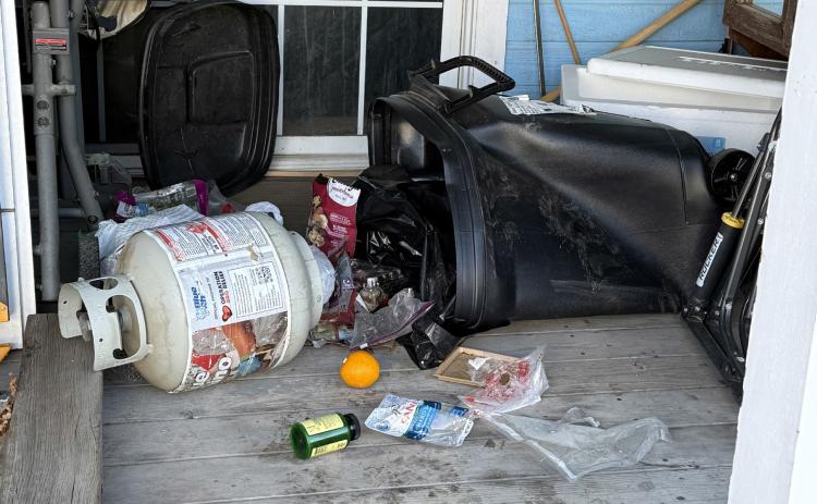 A bear came through Monday night in alley between Mineral and Blair St off of 11st. Time to prepare your trash and bird feeders to be bear proof. Bear season in Silverton has begun! Photos credit Angela McCarthey