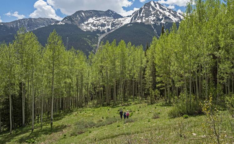 SPRING ON KENDALL MOUNTAIN