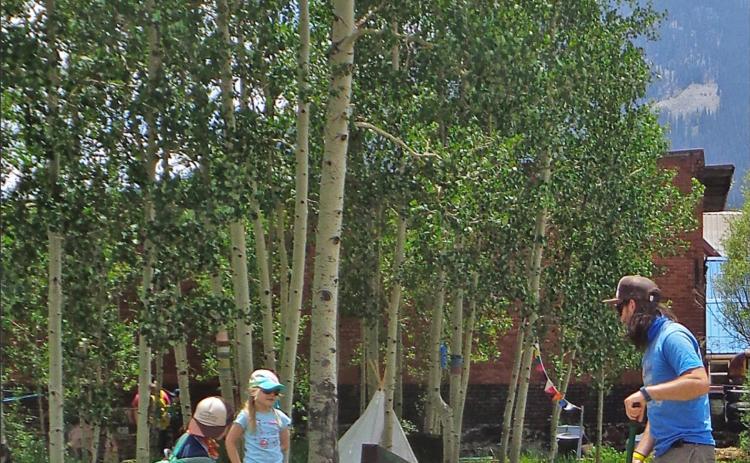 THE SCHOOL'S GARDEN