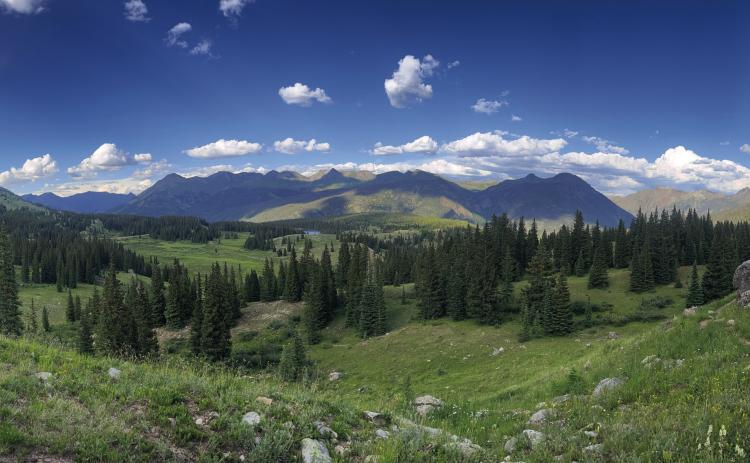 It’s still summer in and around Silverton. Photo credit Scott Fetchenhier