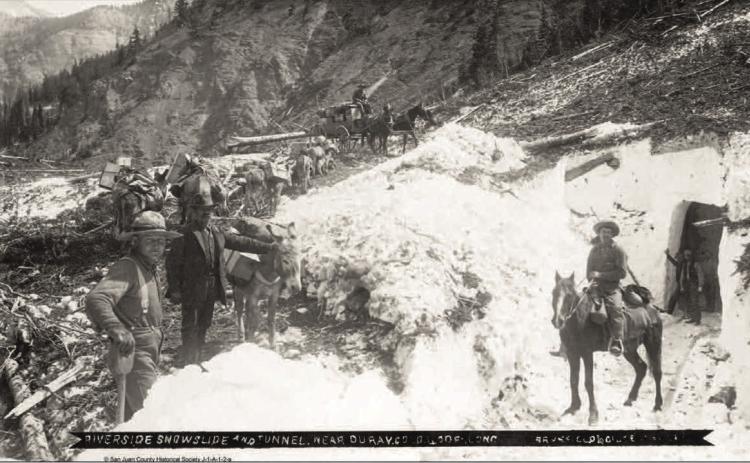 A mule train on the Shenandoah trail in Arrastra Gulch, heading downhill with loaded ore sacks in an undated photo. Photo courtesy of San Juan County Historical Society