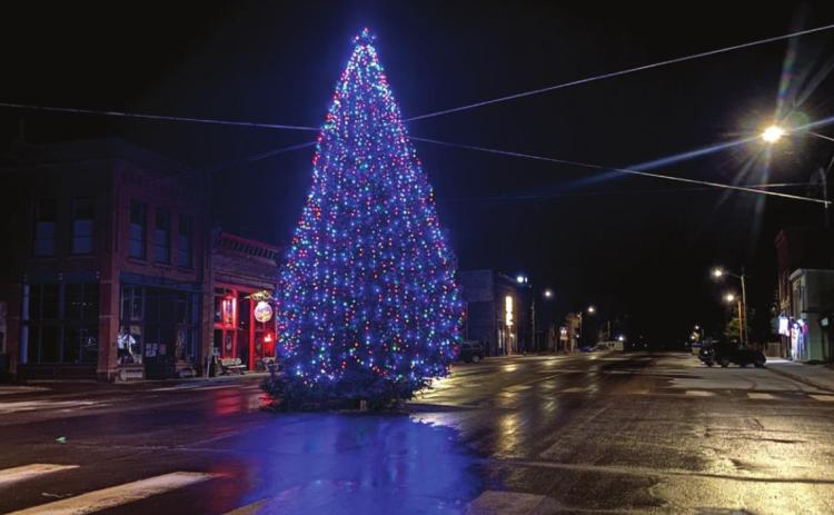 ‘Tis the season for the tree