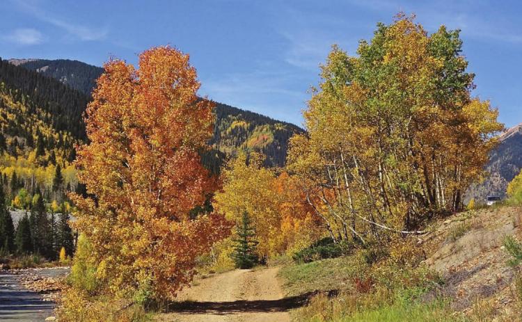 Jerry Lyle/Silverton Standard