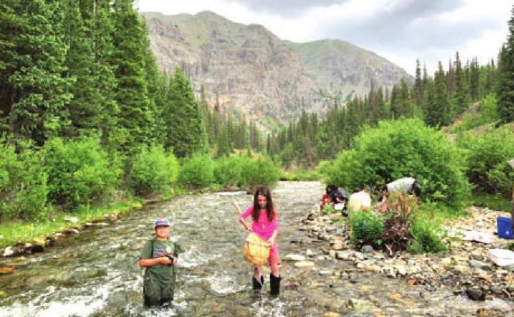 Students Elliot Barszcz and Marie Melcher collecting benthic macroinvertebrates in Cunningham Creek. Photo Credit - Jordan Bierma