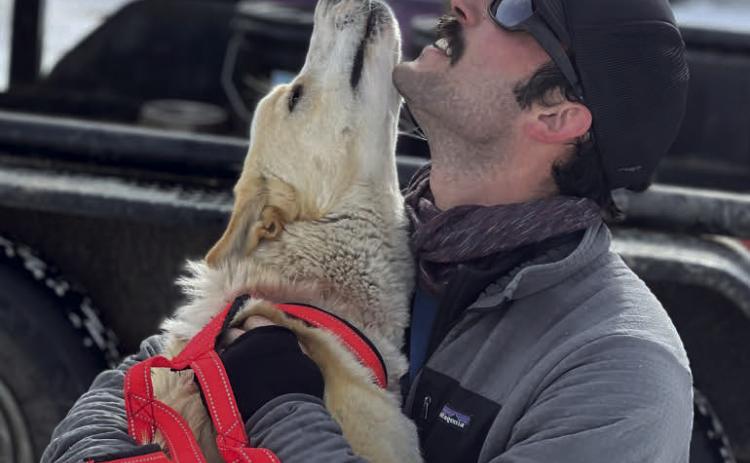 The Silverton flying Dog Sled Races &amp; Skijor was a huge success. We received ample snow for this event, and all the dogs &amp; humans were smiling ear to ear. Photo provided by DeAnne Gallegos