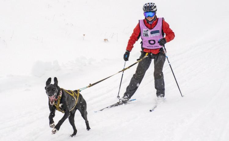 The Flying Dogs Sled & Skijor Races