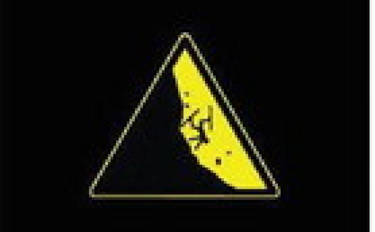Alt Text for Image