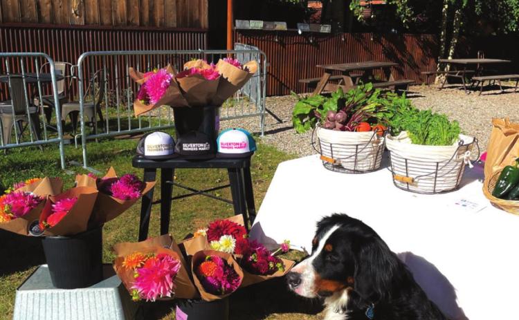 Oliver Grant helps at every market. Photo Credit Kim Grant