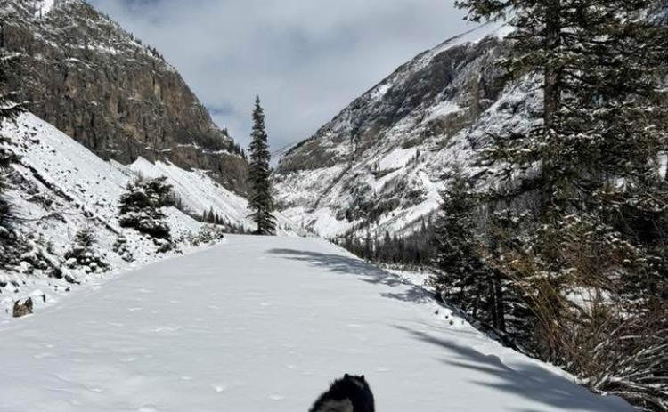 photo by Howie Stern Silverton local Howie Stern and his dog Mishka enjoy the fresh snow we got this week.