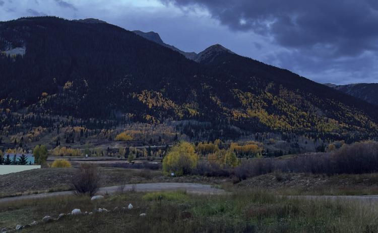 Save Silverton’s Wetlands? Clearing Up Debate Over Town’s Natural Resource