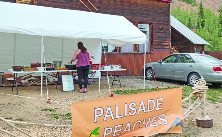 Farm Fresh Produce Mon-Friday, 10am-6pm at the Columbine Roadhouse Photo by Emma Schaffrick
