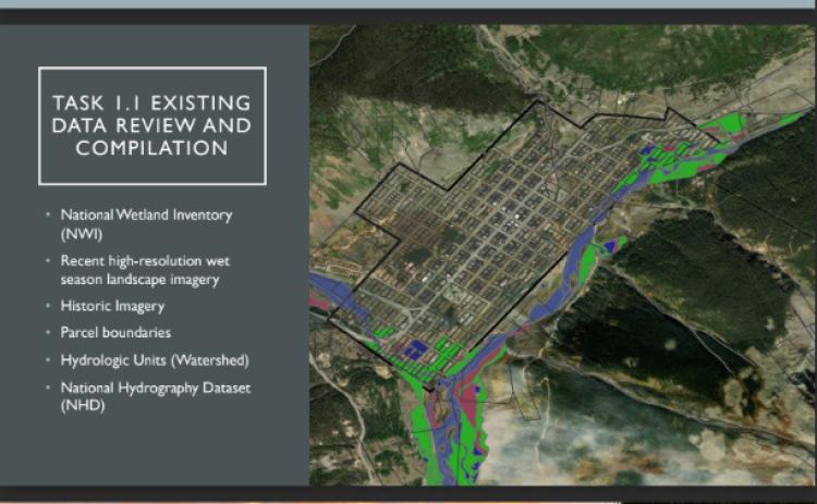 Wetland Delineation
