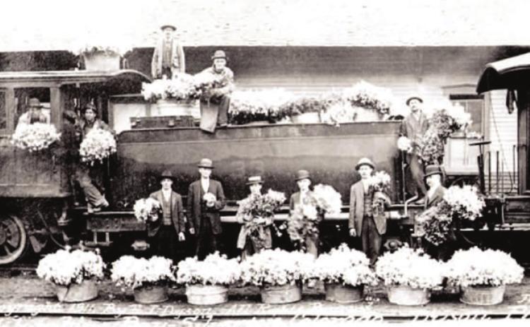 COLUMBINE DAY 1911