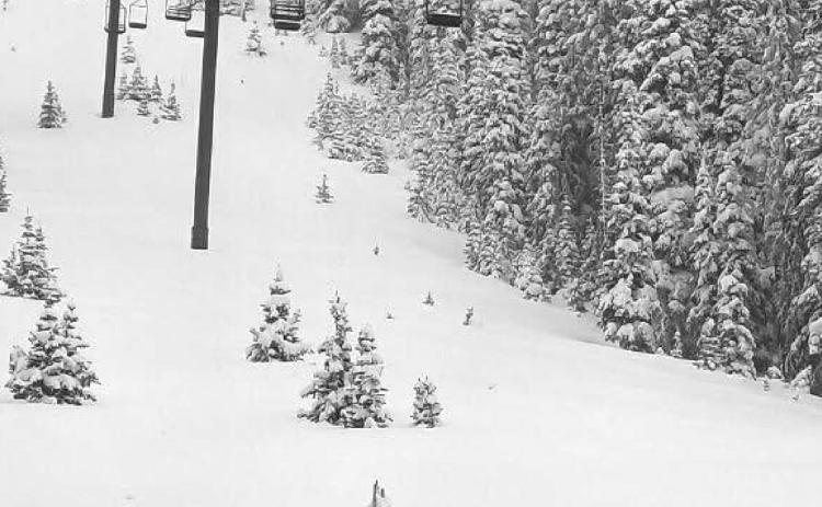 Those in search of powder