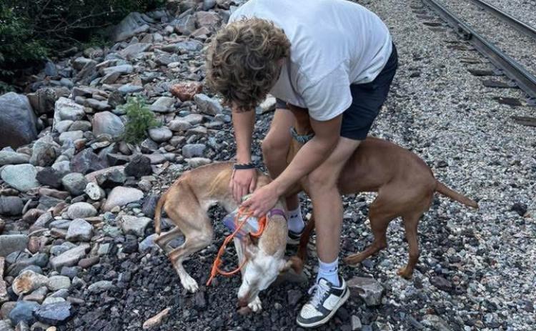 The moment Libby was recovered by Oliver Clark and her doggy brother Maverick about 1 1/2 miles down the tracks. Photo credit Taylor Clark